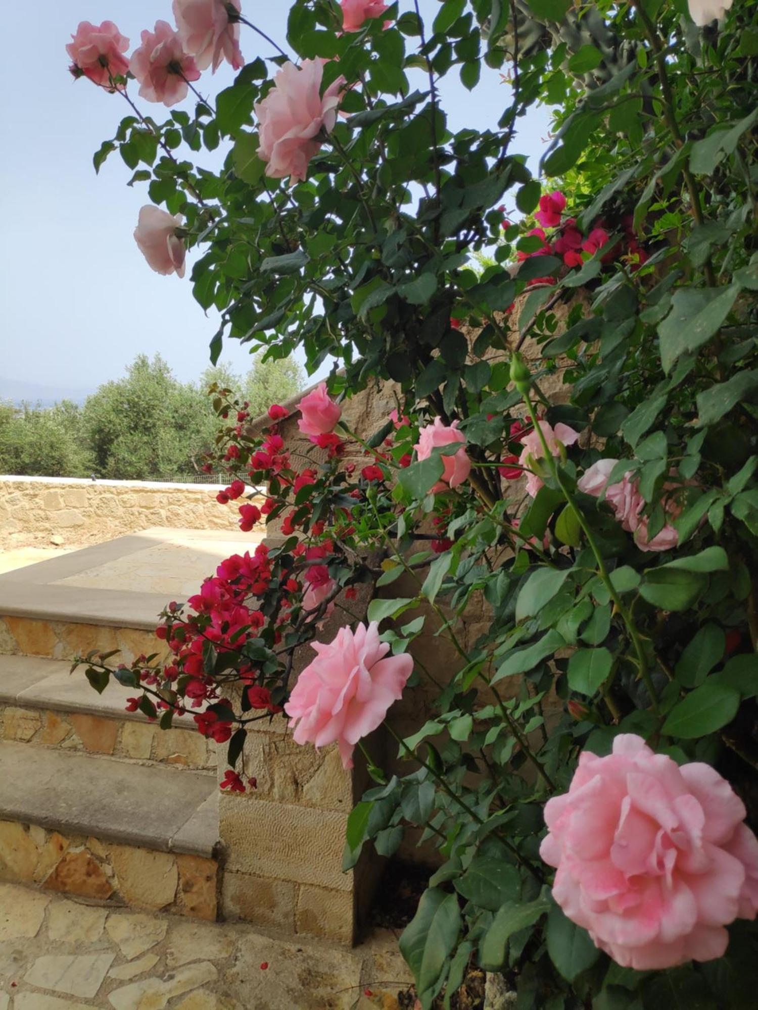 Xenia'S Countryside Guesthouse Aγία Μαρίνα Εξωτερικό φωτογραφία